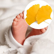 Bébé Ginkgo pour une naissance ou un baptême